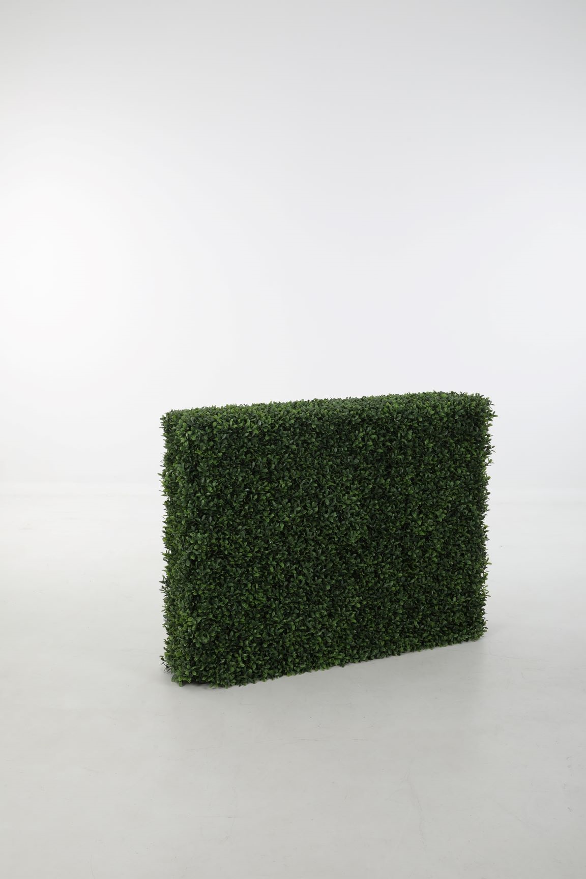 Boxwood Fence (Buxus) 100x23x75cm
