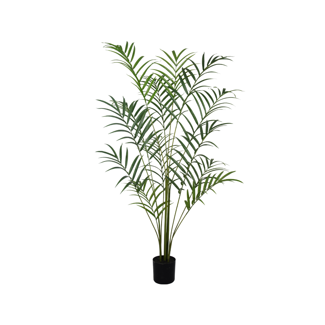 Palm plant 210cm - Afbeelding 3