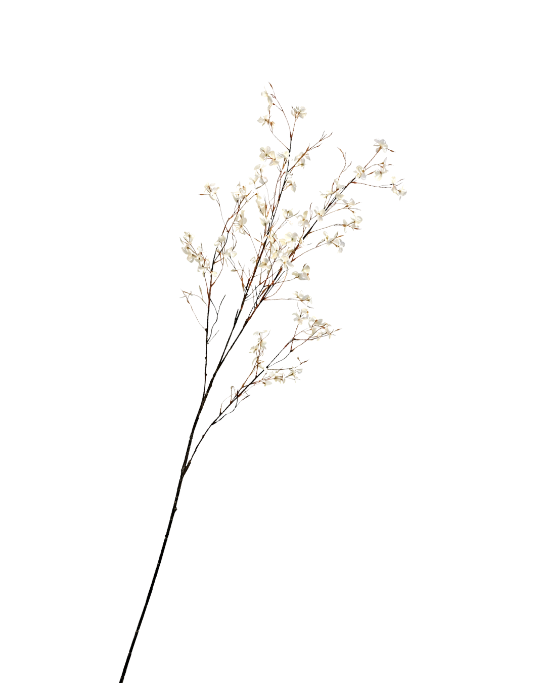 Blossom branch creme 132cm
