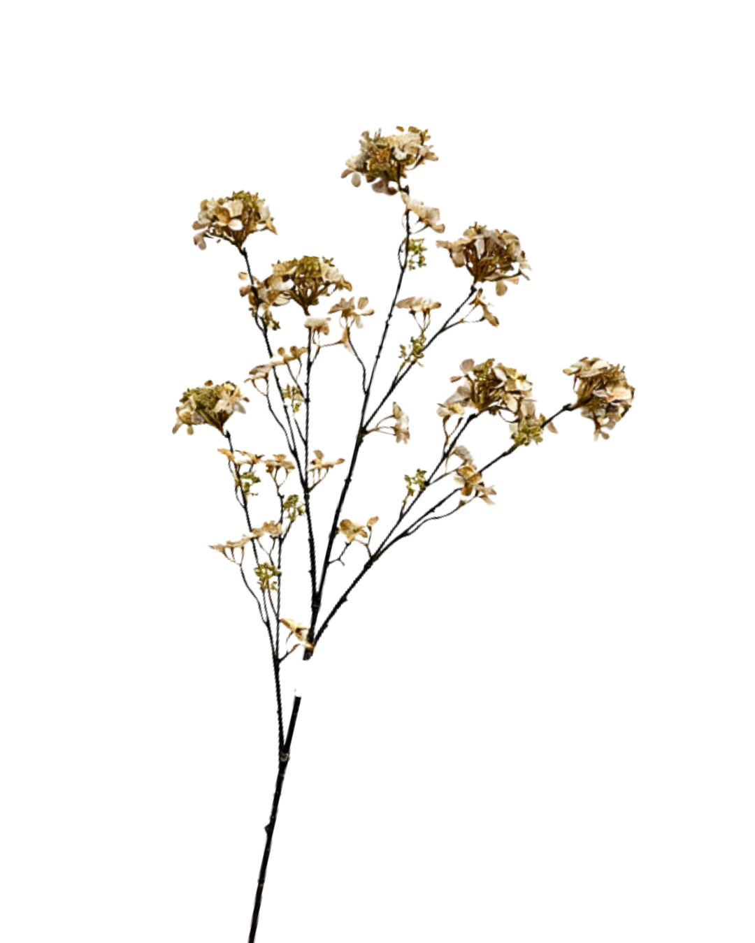Hydrangea branch classic 109cm