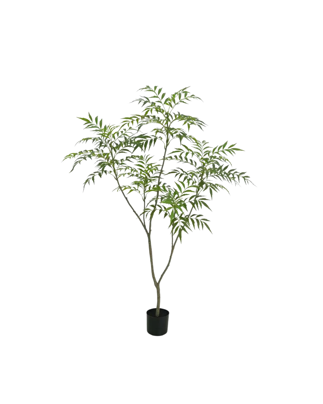 Bamboe boom 150cm