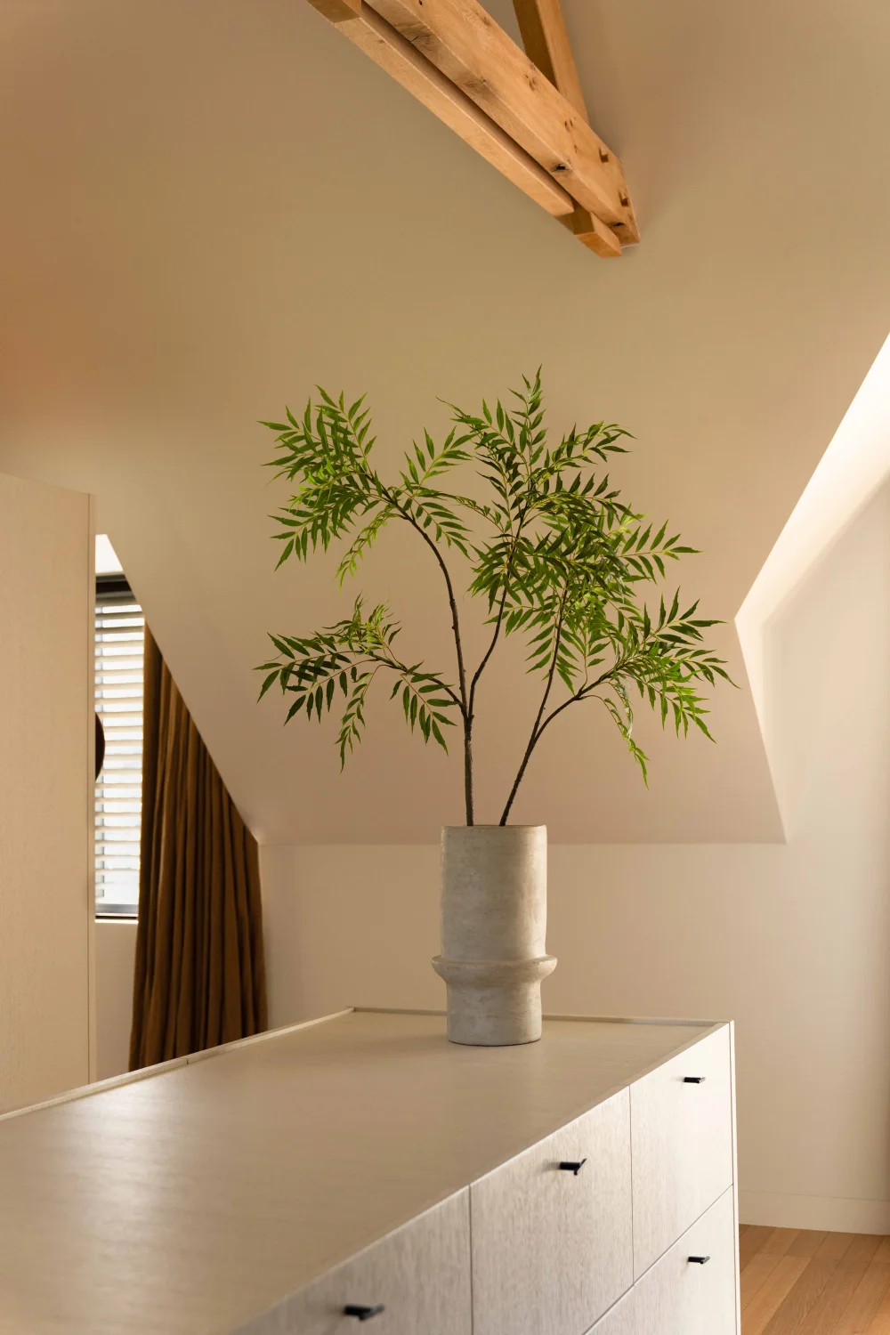 Bamboe boom 150cm - Afbeelding 2